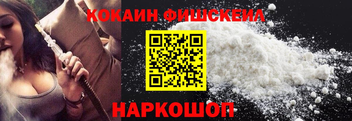 НБОМе Холмск