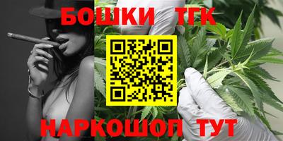 spice Обь