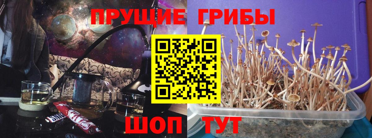 Галлюциногенные грибы Magic Shrooms  Вход с VPN  хочу   Псилоцибиновые грибы мицелий  Холмск 