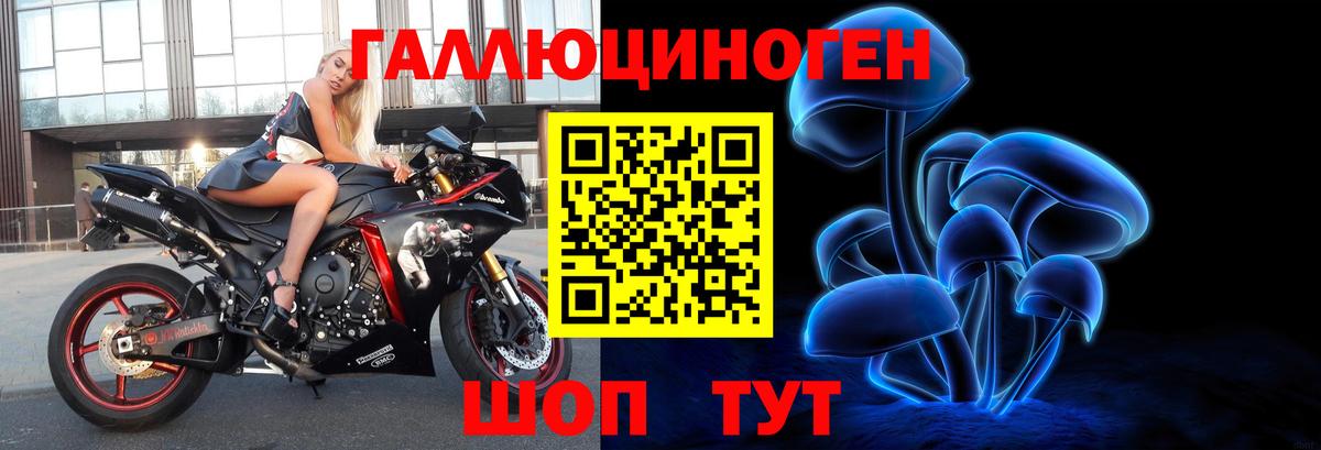Галлюциногенные грибы Psilocybine cubensis Холмск